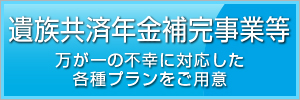 遺族共済年金補完事業等